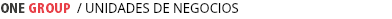 ONE GROUP / UNIDADES DE NEGOCIOS